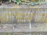 image of grave number 719751